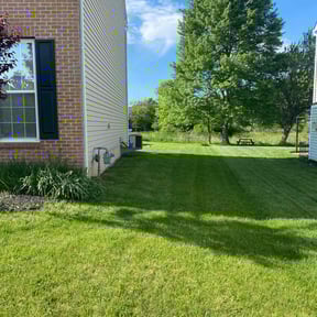 landscaping by Real Quality Landscape reviewed on August 20, 2025