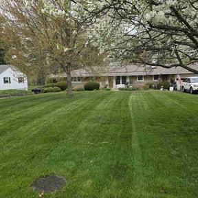 lawn care by Evan's Lawncare reviewed on July 19, 2025