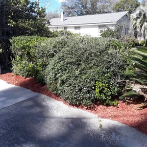 Bush Trimming by MartÃnez landscaping reviewed on August 16, 2025