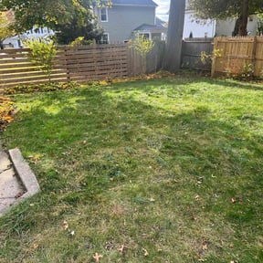 Leaf Removal by Earth Cutz Lawn Services reviewed on September 12, 2025