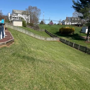 grass cutting by Thatsmydadlawncarellc reviewed on January 3, 2024