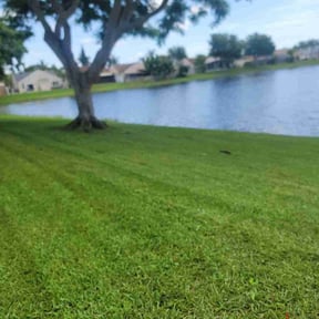 grass cutting by EZe quality scapes reviewed on October 27, 2023