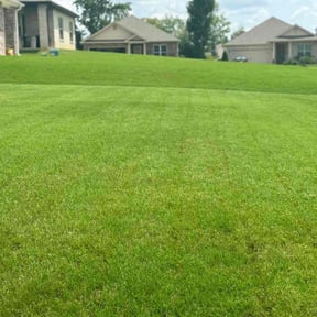 landscaping by Affordable Lawn Care reviewed on August 20, 2025