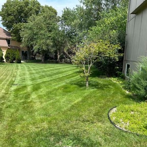 yard care by The Lawn Cypress reviewed on November 27, 2025