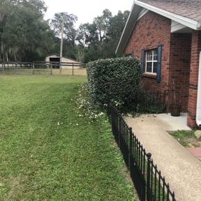 Bush Trimming by Payless Concrete LLC reviewed on August 16, 2025