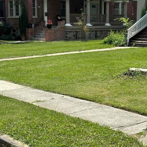 landscape maintenance by KJ & Co reviewed on August 20, 2025