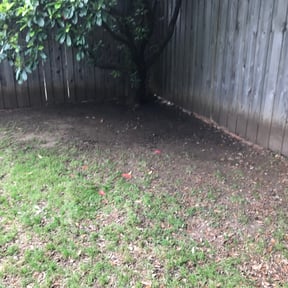 Leaf Removal by K.N.J. Preservation reviewed on September 8, 2025