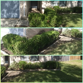 Bush Trimming by Flatt&#039;s Lawn Enforcement reviewed on August 16, 2025