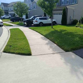 yard maintenance by Terry Collins reviewed on November 24, 2025