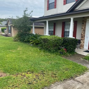 Bush Trimming by Cal Clean LLC reviewed on August 15, 2025