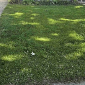 residential landscaping by SLC Groundskeepers reviewed on August 21, 2025