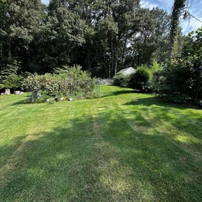 lawn service by Freshcoat reviewed on May 16, 2024