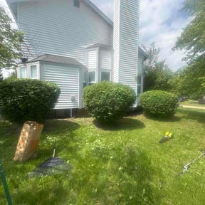 Bush Trimming by Affordable Lawncare and More reviewed on May 10, 2026