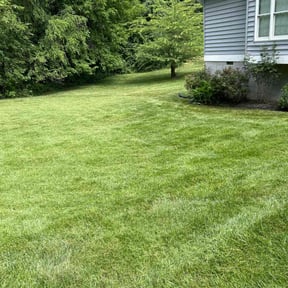 yard work by Fast Pace Services LLC reviewed on August 21, 2025