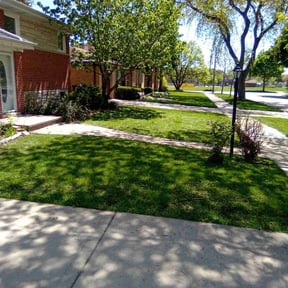 landscape maintenance by TONY'S LAWN CARE reviewed on August 16, 2025