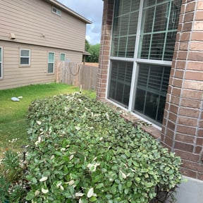 Bush Trimming by GE Lawn Care reviewed on August 19, 2025
