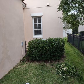 Bush Trimming by Lawn care &Plow reviewed on August 20, 2025