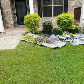 Bush Trimming by Almanza lawn care reviewed on June 29, 2026