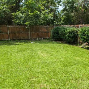 grass cutting by Mow-2-Snow Yard Service reviewed on August 18, 2025