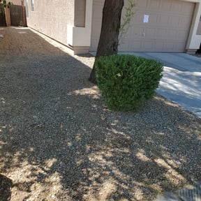 Bush Trimming by S.E. Landscaping reviewed on August 17, 2025