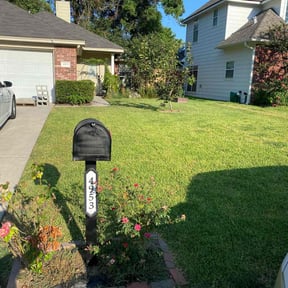 landscape maintenance by Daniels Lane reviewed on August 18, 2025