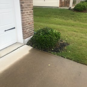 Bush Trimming by JP Landscape reviewed on August 20, 2025