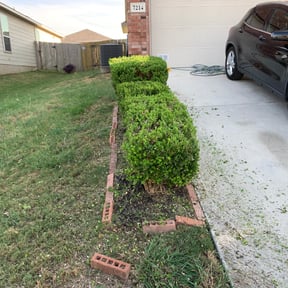 Bush Trimming by JK Services reviewed on August 14, 2025