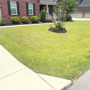 yard work by Amelias Lawn Professionals reviewed on August 17, 2025