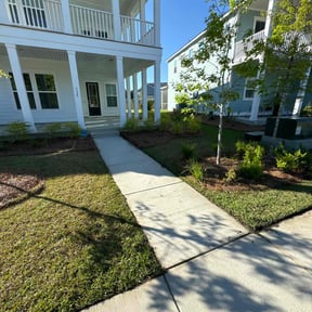 yard maintenance by New Surroundings reviewed on August 15, 2025