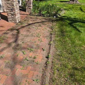 Flower Bed Weeding by Capital turf and land reviewed on May 16, 2026