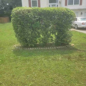 Bush Trimming by Grow N Mow Landscaping reviewed on August 15, 2025