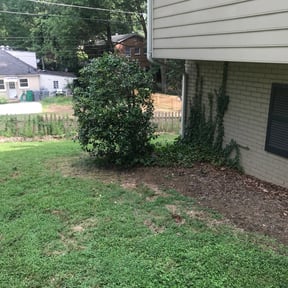 Bush Trimming by SGP Lawn Services reviewed on August 17, 2025