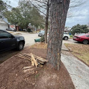 Leaf Removal by Star Landscaping reviewed on March 8, 2026