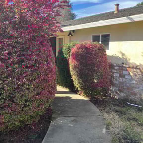 Bush Trimming by Earl Lees Lawnscaping reviewed on March 4, 2026