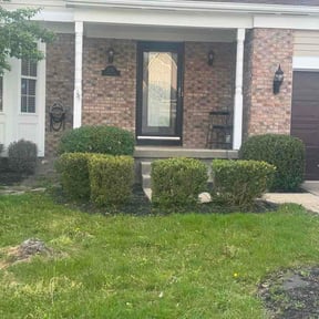 Bush Trimming by Jts lawncare reviewed on April 19, 2026