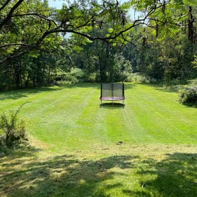 yard work by Asap Tree & Landscape llc reviewed on August 15, 2025
