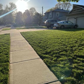 turf care by Waytomow reviewed on June 1, 2025