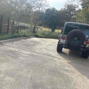 Leaf Removal by Lawn Pro grounds management reviewed on November 18, 2025