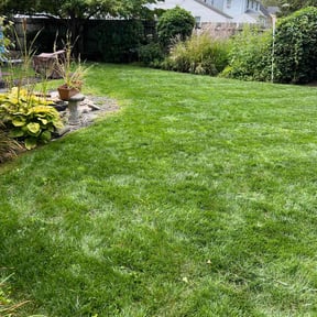 landscaping by TOMS - Total Outdoor Maintenance reviewed on August 20, 2025