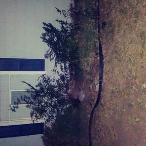 Flower Bed Weeding by Speedy Lawnmower Landscaping reviewed on August 19, 2025