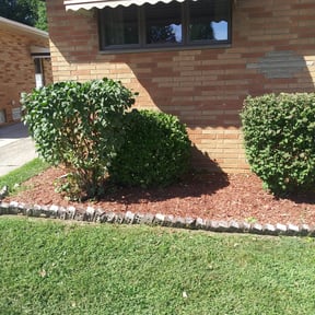 Bush Trimming by FRL Landscaping reviewed on August 15, 2025