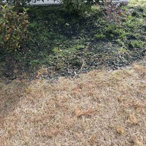 Flower Bed Weeding by MTB Lawn Care reviewed on March 4, 2026