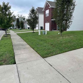 landscaping services by Cora reviewed on August 15, 2025