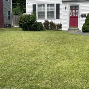 gardening service by Pleasant Rowe Lawn Care reviewed on November 21, 2025