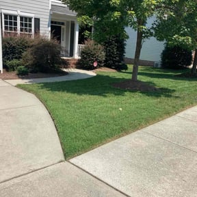 lawn maintenance by M&amp;M lawn care reviewed on May 1, 2024