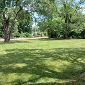 landscaping services by Manicured cuts LLC reviewed on January 1, 2026