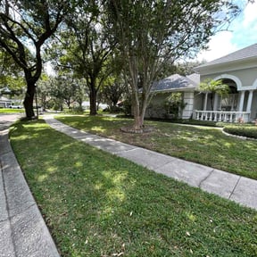 residential landscaping by Rodriguez Gardening reviewed on November 21, 2025