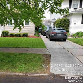 yard work by Carolina Country Lawn And Deck LLC reviewed on August 20, 2025