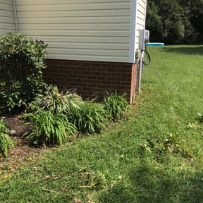 Bush Trimming by Ethan's Lawn Care reviewed on August 19, 2025