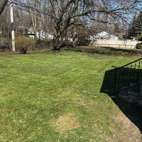 Leaf Removal by MM household chores &amp;More reviewed on June 14, 2026